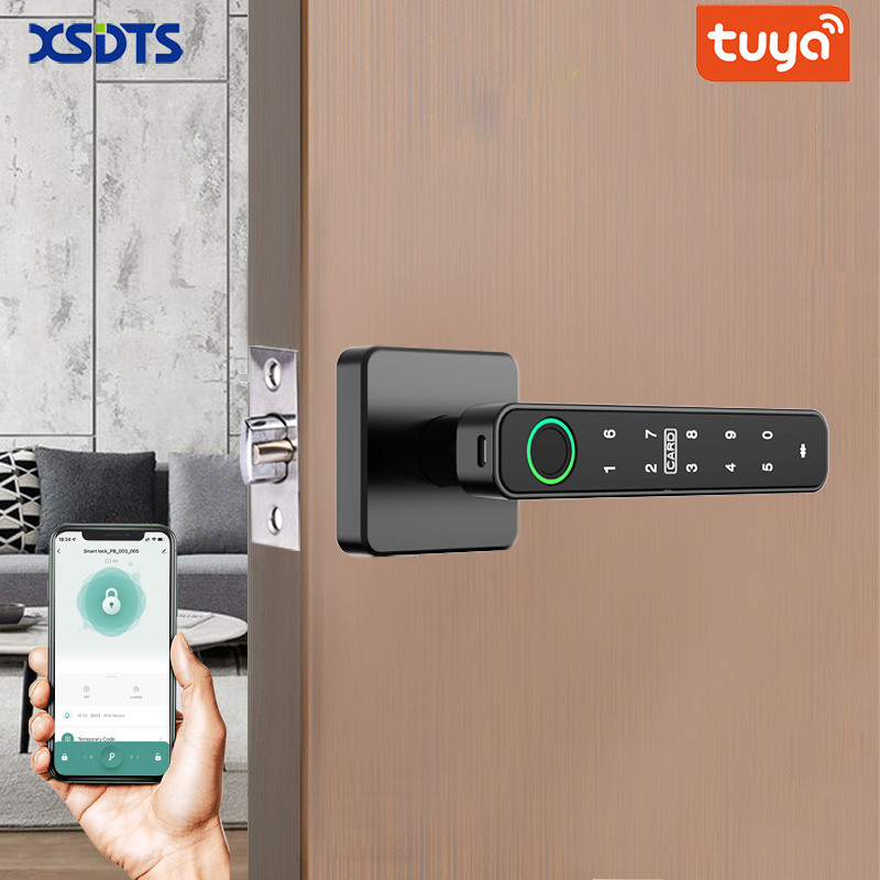 Home Security Key - XSDTS Tuya Handle Fingerprint Key Card