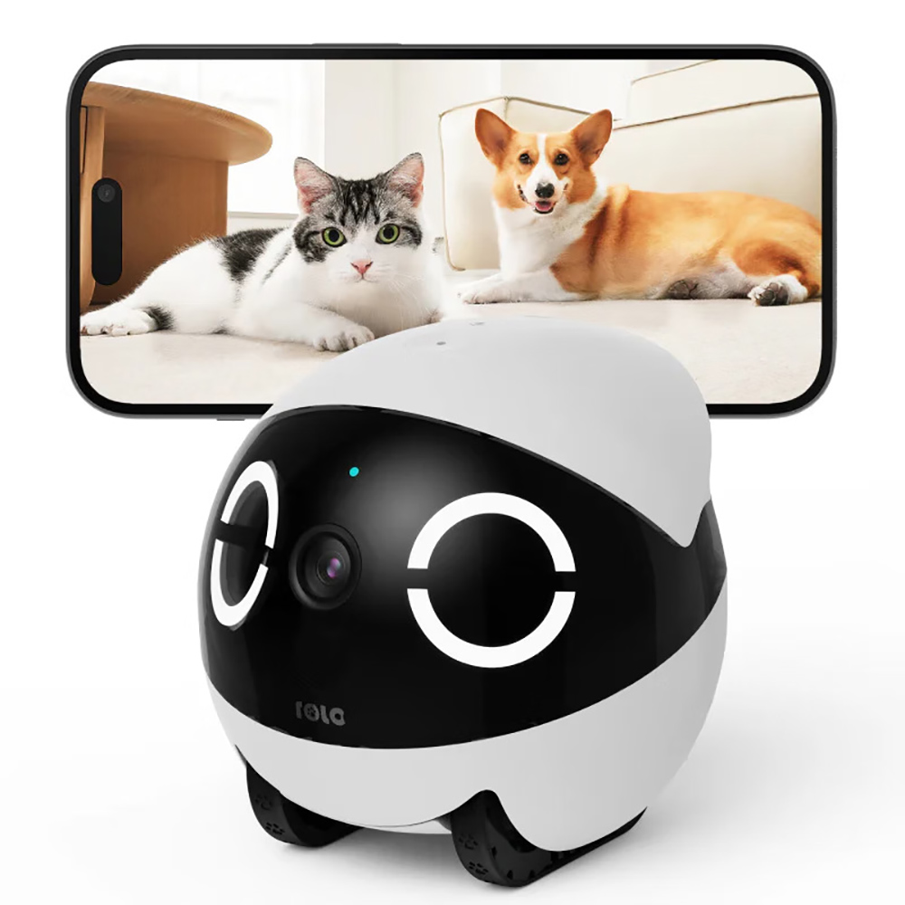 Home Security Pet Tumbler Desi - Home Security Robot recension och pris